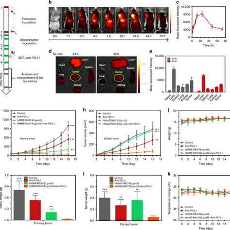 The Design Principle Of Nanosonosensitiser Augmented Synergistic Sdt