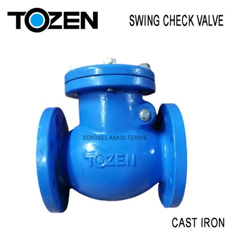 Jual SWING CHECK VALVE TOZEN DN200 8 PN16 JIS 10K 16K CAST IRON