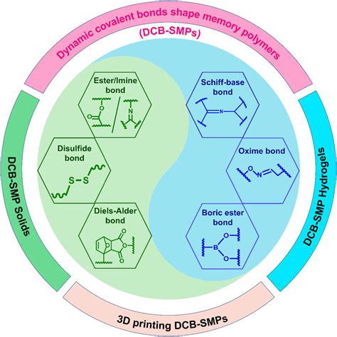 General Illustration Of SMPs Based On Diverse DCBs Including DCB SMP