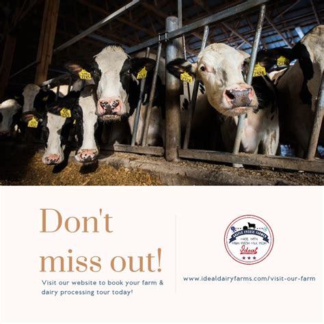 Ideal Dairy Farms Home