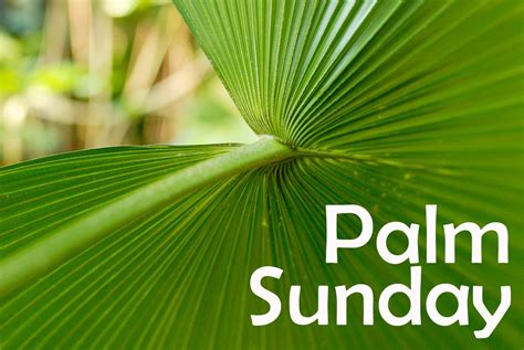Download Sparkle Palm Sunday Picture
