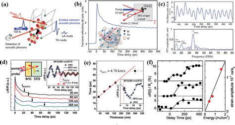 A Principle Of The Ultrafast Optical Pump‐probe Experiments