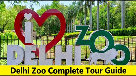 Delhi Zoo Complete Guide National Zoological Park Delhi Youtube