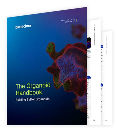 Organoid Culture Handbook Bio Techne