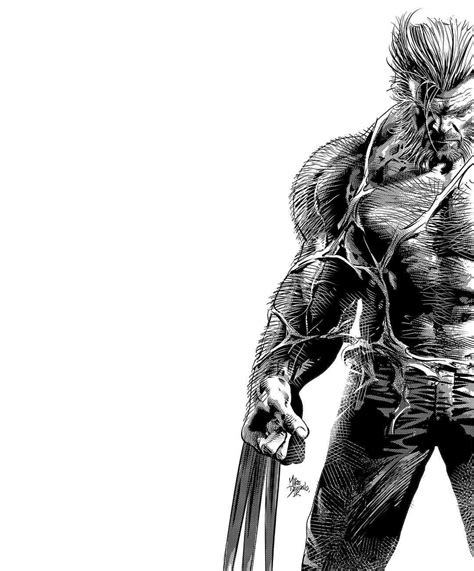 Snikt Logan Wolverine By Mike Deodato Jr Wolverine Marvel