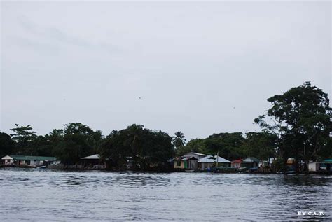 Foto de Limón Costa Rica