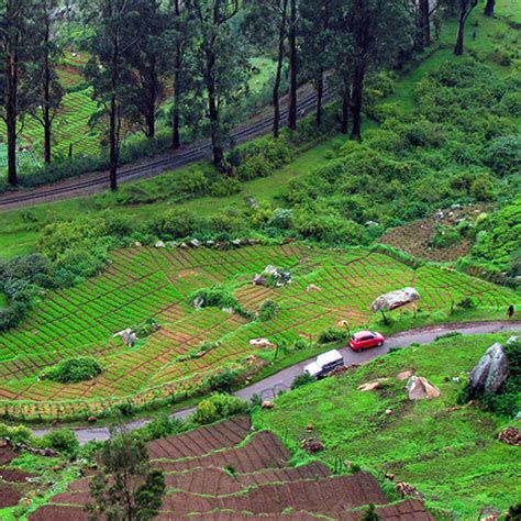 Mysore Coorg Ooty Tour Package The Innovative Holidays