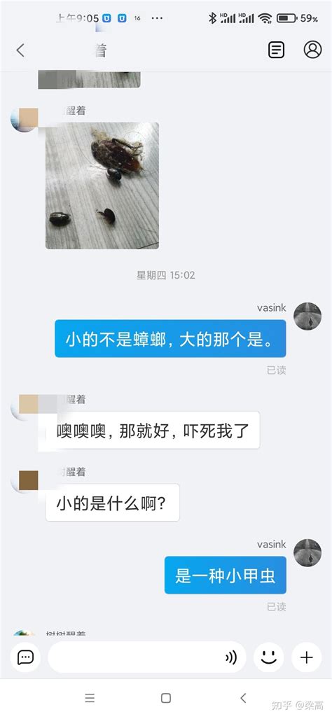 家里蟑螂多怎么能消灭干净？ 知乎