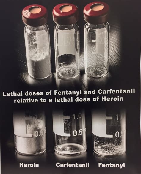 A Deadly First Carfentanil An Opioid Times More Potent Than