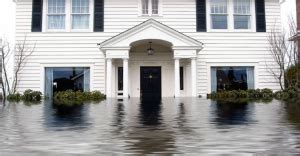 Flood damage repair - HomeSpecs, Inc - General Contractors