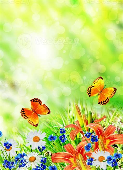 Summer Landscape Flowers And Butterflies Stock Photo At Vecteezy