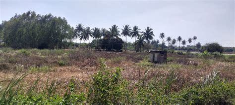 Agricultural Land 30 Guntha For Sale In Narasapura Kolar REI1176220