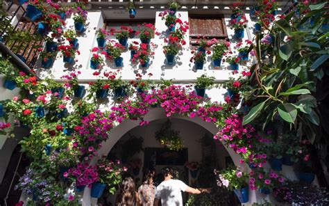 Fiestas Y Tradiciones El Festival De Los Patios Cordobeses Parliamo