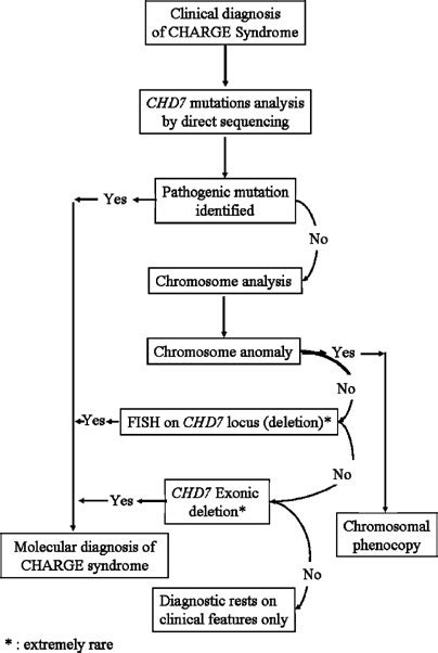 Diagnostic Algorithm For Charge Syndrome This Algorithm Would Lead To Download Scientific