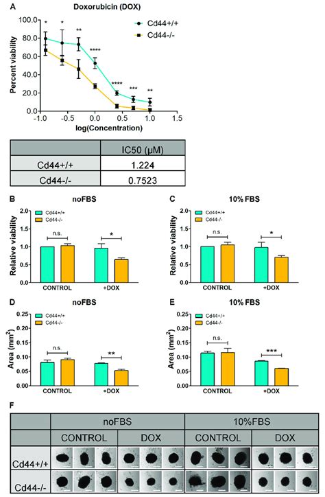 Knockout Of Cd Sensitizes Osteosarcoma Cells To Doxorubicin Dox