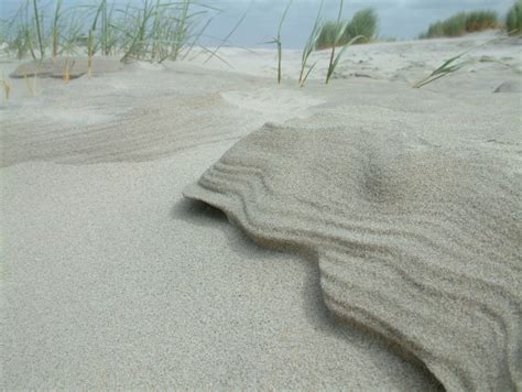 Sand macro Free Photo Download | FreeImages