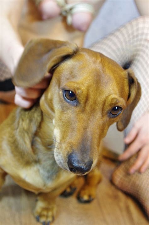 Katja German Whore Katja Sau Porn Pic