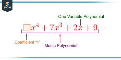 Monic Polynomial | Definition & Meaning