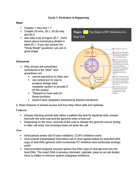 Bio A Outcome Cycle Cycle Evolution Is Happening Read