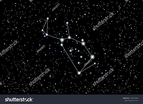 Vector Illustration Constellation Lupus Wolf On Stock Vector (Royalty ...