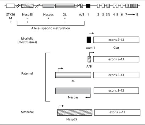 Physiology Of Calcium Phosphate Magnesium And Vitamin D Semantic