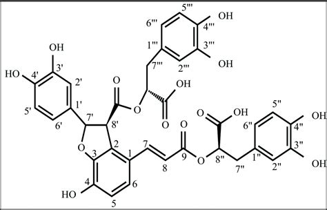 丹酚酸B与牛血清白蛋白相互作用的光谱学研究