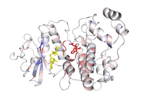 Was K Nstliche Intelligenz Ber Proteine Verr T Science Online Org