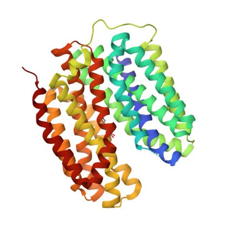 Rcsb Pdb 8jtb Vmat2 Complex With Dopamine