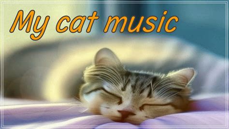 528hz Deep Healing Relaxation Music For Stressed And Anxious Cats 💚