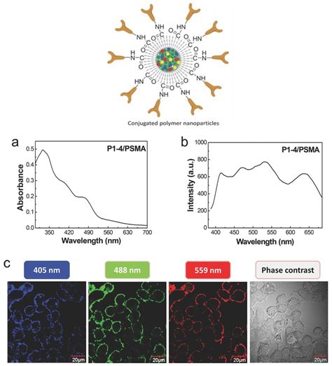 Nanomaterials Free Full Text Review On Nanoparticles And