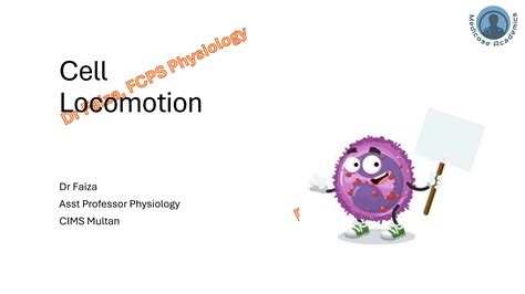 Cell Locomotion Ameboidciliaryflagellar Movement Ppt