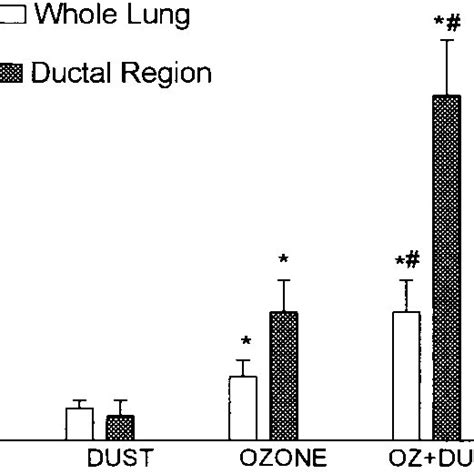 Percentages Of 3 Ht Labeled Parenchymal Cells In Different Regions Of