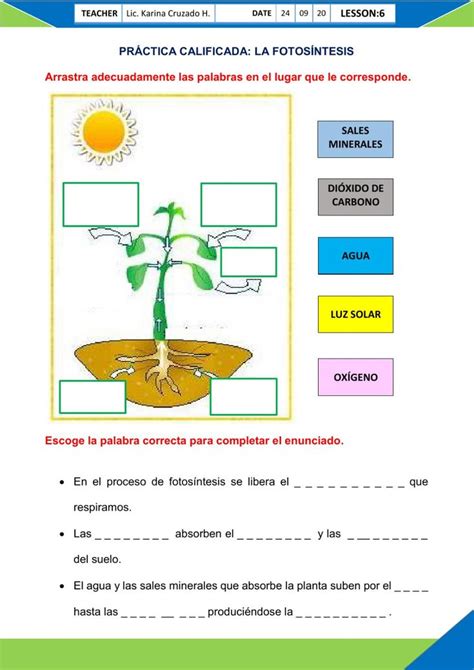 La Fotosíntesis Exercise For Tercer Grado De Primaria Proceso De La Fotosintesis La