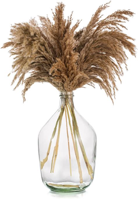 Amazon Large Glass Floor Vase For Pampas Grass Plants Flowers