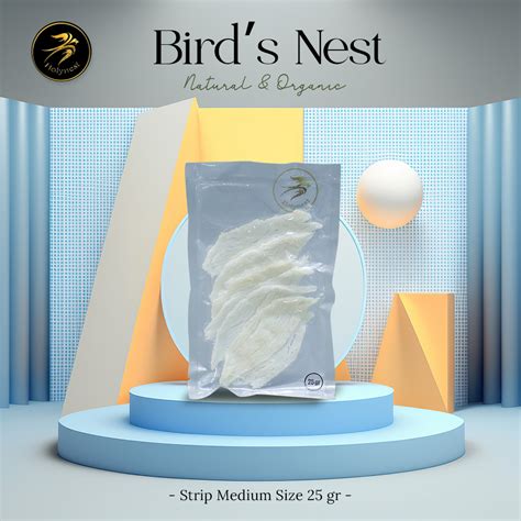 Sarang Burung Walet Bersih Patahan Medium Strip Medium Size Holynest