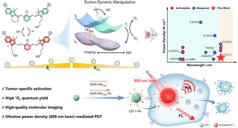 Dissecting Exciton Dynamics In Ph‐activatable Long‐wavelength