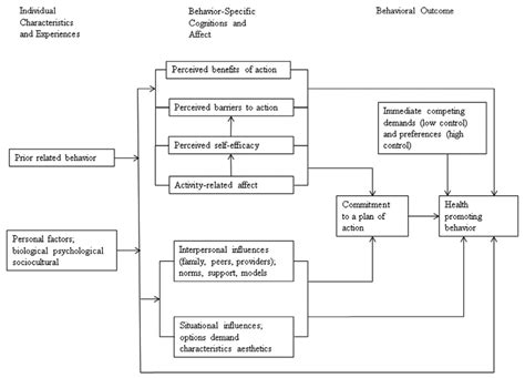 Health Promotion Model (Adapted from 11) | Download Scientific Diagram