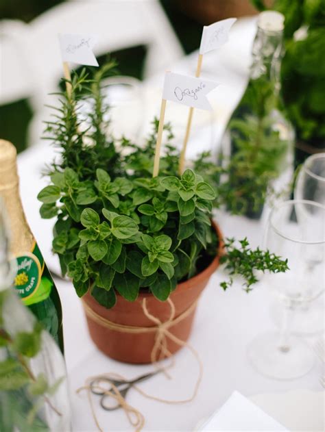 Kräuter Deko 50 Ideen für eine romantische Hochzeit im Landhausstil