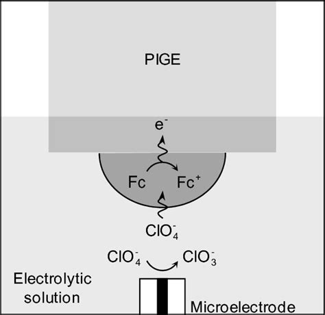 Schematic Diagram For The System And The Rc Mode Used In Secm Experiments Download Scientific