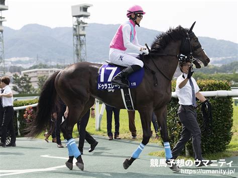 ハーデンベルギア競走馬2021年産 成績｜地方競馬予想のウマニティ