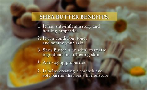 6 Amazing Benefits of Shea Butter For Your Skin - Cocosoul