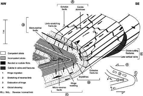 Synthetic diagram of observed structures. North-westward recumbent ...