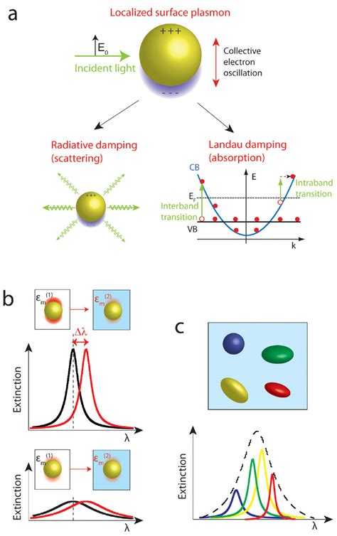 Localized Surface Plasmon Resonance Of Metal Nanoparticles A Download Scientific Diagram