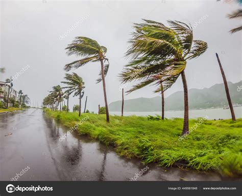 Tempestade Tropical Chuva Forte E Ventos Fortes Em Climas Tropicais