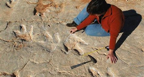 Hallan Huellas De Dinosaurios Que An Peces Con Marea Baja