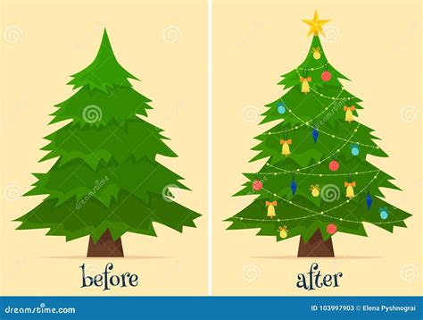 Christmas Tree Before And After Decoration Fir In Forest And In Room