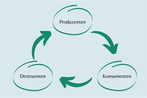 Nahrungskette Wald Überblick der Kategorien einfach erklärt