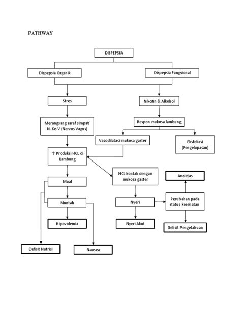 Pathway Dispepsia Pdf