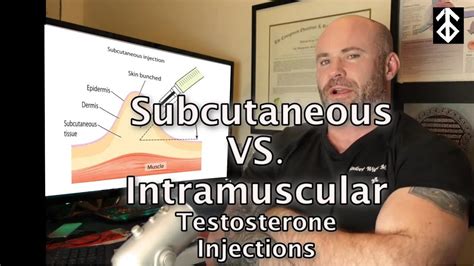 Subcutaneous Vs Intramuscular Testosterone Injections Which Is Better