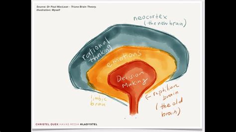 The Triune Brain On Human Evolution And The 3 Stages Of Cognitive Function Deep Motivation